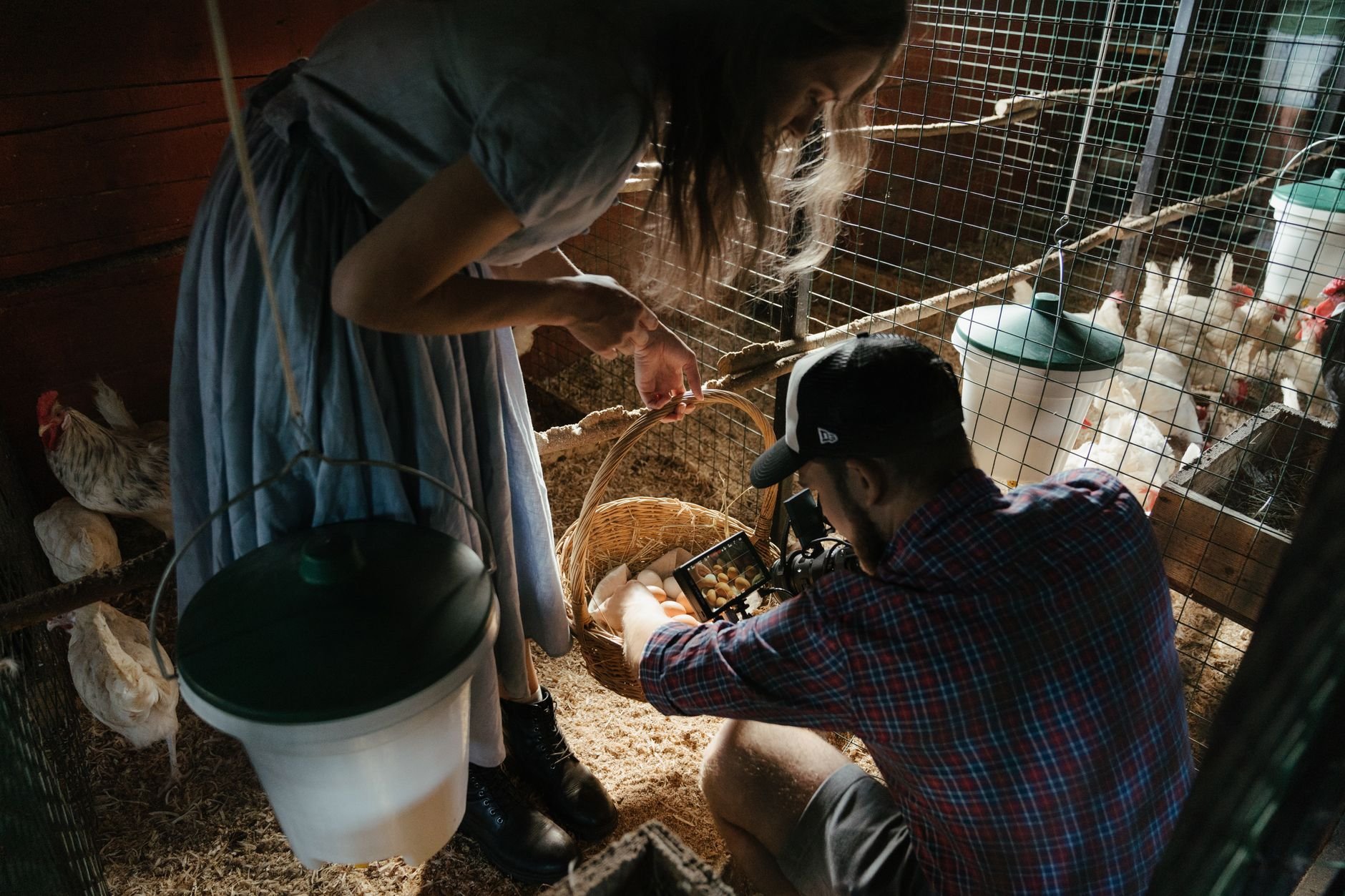 Farmer collecting eggs in a chicken coop on a Peruvian farm